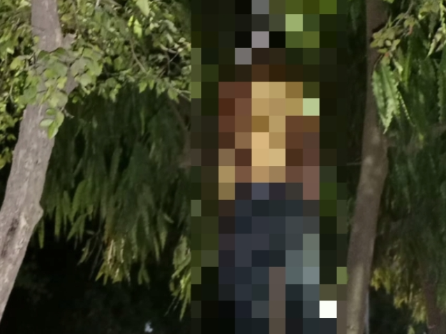 Body of a young man found hanging from a tree in Jhansi, jhansi news, jhansi police, jhansi station | झांसी पेड़ पर लटका मिला युवक का शव: स्टेशन रोड पर बने ऑयल डिपो कर्मी ने जलाई लाइट तो दिखाई पड़ी अर्धनग्न लाश – Jhansi News