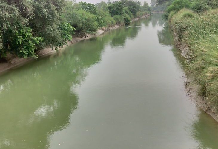 Shortage of water in Sharda Sahayak Double Canal | शारदा सहायक डबल नहर में पानी की कमी: अयोध्या में किसानों की धान की नर्सरी और अन्य फसलें खतरे में, लाखों किसान करते हैं सिंचाई – Ayodhya News