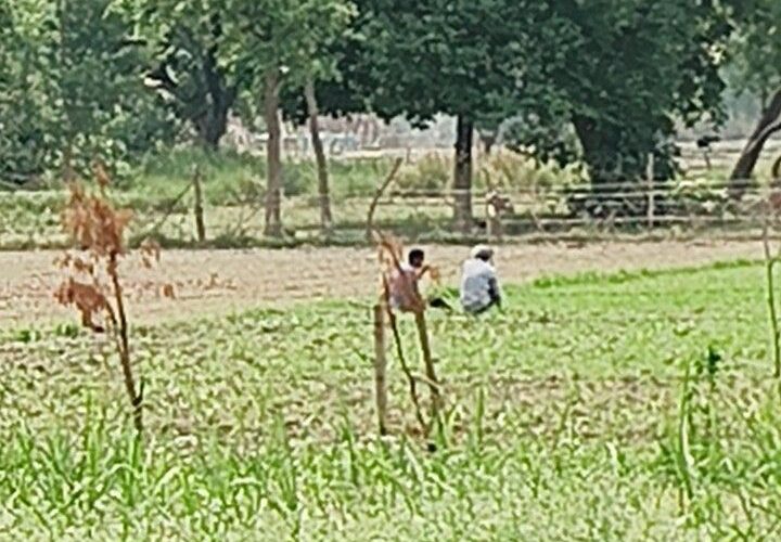 Temperature reached 32 degrees in Gonda since morning | गोंडा में सुबह से 32 डिग्री पहुंचा टेंपरेचर: खेत में काम करने वाले किसान परेशान, फसलें सूख रहीं, लू की चेतावनी – Gonda News