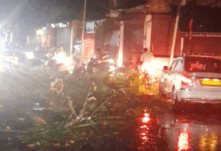 Dozens of trees fell due to storm and rain in Prayagraj | प्रयागराज में आंधी-बारिश से दर्जनों पेड़ गिरे: तेज हवाओं से होर्डिंग्स सड़कों पर गिरीं, हर तरफ अफातफरी, बिजली के तार टूटे – Prayagraj (Allahabad) News