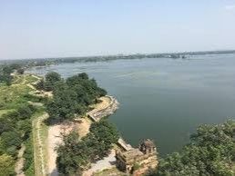 Medicine can be made from the algae of Jhansi’s ponds | झांसी के तालाबों की काई से बन सकेगी दवाई: बुन्देलखण्ड विश्वविद्यालय के शोध में मिले कई तत्व, मवेशियों के लिए उपयोगी बनेगा लक्ष्मी और आंतिया ताल – Jhansi News
