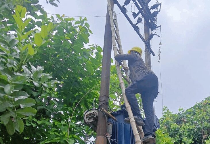 Employees who came to change the transformer were beaten up in Lucknow | लखनऊ में ट्रांसफार्मर बदलने पहुंचे कर्मचारियों से मारपीट: एक पक्षी के टकराने से ट्रिप हुई लाइन, घंटों गुल रही बिजली – Lucknow News