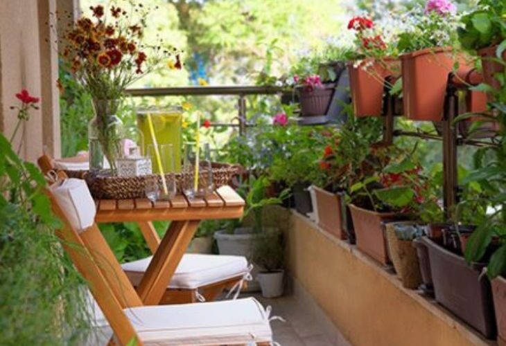 You will not be able to keep flower pots on the railing of the flat | फ्लैट की रेलिंग पर नहीं रख सकेंगे गमला: पुणे में हुए हादसे के बाद GDA ने जारी किया आदेश; घटना पर सोसाइटी के पदाधिकारी होंगे दोषी – Gorakhpur News
