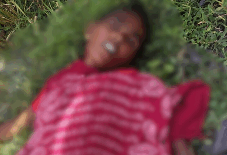 Woman dies after being hit by a freight train | मालगाड़ी की चपेट में आने से महिला की मौत: जौनपुर में काकरापार गांव के पास ट्रैक पर मिला शव, शिनाख्त में जुटी पुलिस – Chandwak(Kerakat) News