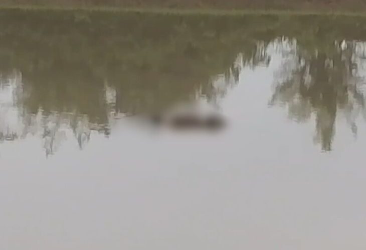 The body of an unknown youth found in Lakhimpur | लखीमपुर में मिला अज्ञात युवक का शव: अलीगंज में जमुना बाद फॉर्म के पास स्थानीय लोगों ने देखा, पुलिस ने शुरू की जांच – Shahpur(Gola) News