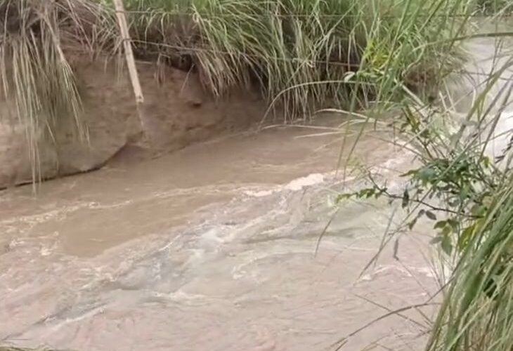 Ganga water level increased in Sambhal | संभल में गंगा का जलस्तर बढ़ा: चिरवारा समेत 6 गांवों में घुसा पानी, 100 से ज्यादा गांव हो सकते हैं प्रभावित – Sambhal News