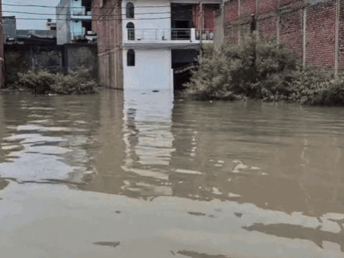 2500 villages submerged, 15 lakh population affected by flood | 2500 गांव डूबे, 15 लाख आबादी बाढ़ की जद में: प्रयागराज में गंगा-यमुना की लहरें उफान पर, स्कूल बंद, 12 टीमों का रेस्क्सू, देखिये भास्कर टीम की रिपोर्ट – Prayagraj (Allahabad) News