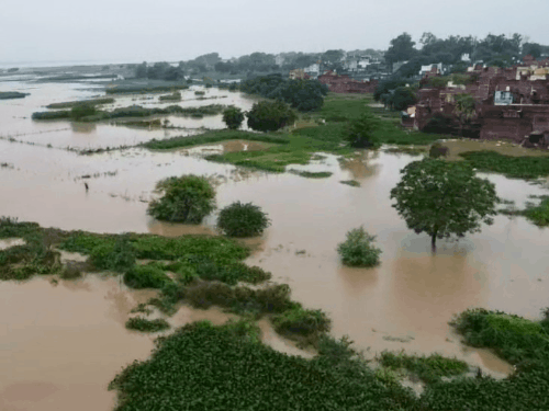 Ganga swells in Aligarh, water level crosses danger mark | अलीगढ़ मे गंगा उफनाई, जलस्तर खतरे के निशान से पार: नरौरा बैराज से छोड़ा गया है पानी, दादों में सैकड़ों बीघे फसल डूबी – Aligarh News